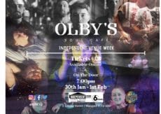 INDEPENDENT VENUE 3 DAY PASS